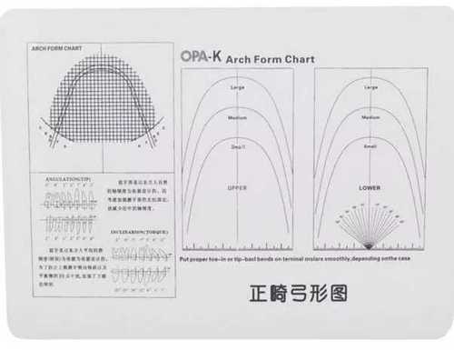 颠覆传统解密正畸弓形图